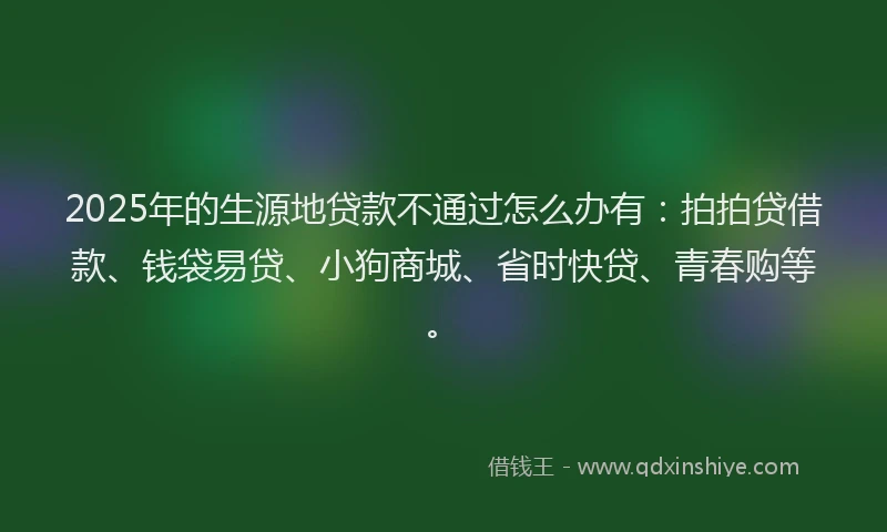 2025年的生源地贷款不通过怎么办有：拍拍贷借款、钱袋易贷、小狗商城、省时快贷、青春购等。
