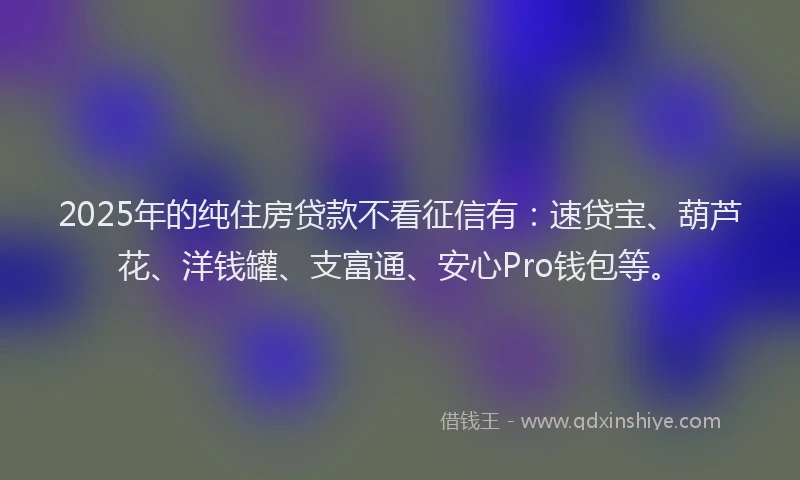 2025年的纯住房贷款不看征信有：速贷宝、葫芦花、洋钱罐、支富通、安心Pro钱包等。