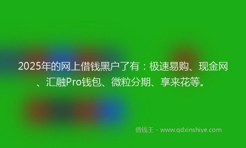 2025年的网上借钱黑户了有：极速易购、现金网、汇融Pro钱包、微粒分期、享来花等。