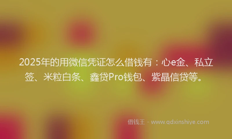 2025年的用微信凭证怎么借钱有：心e金、私立签、米粒白条、鑫贷Pro钱包、紫晶信贷等。