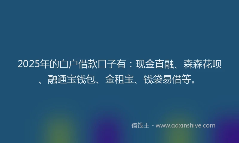 2025年的白户借款口子有：现金直融、森森花呗、融通宝钱包、金租宝、钱袋易借等。