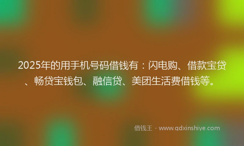 2025年的用手机号码借钱有：闪电购、借款宝贷、畅贷宝钱包、融信贷、美团生活费借钱等。