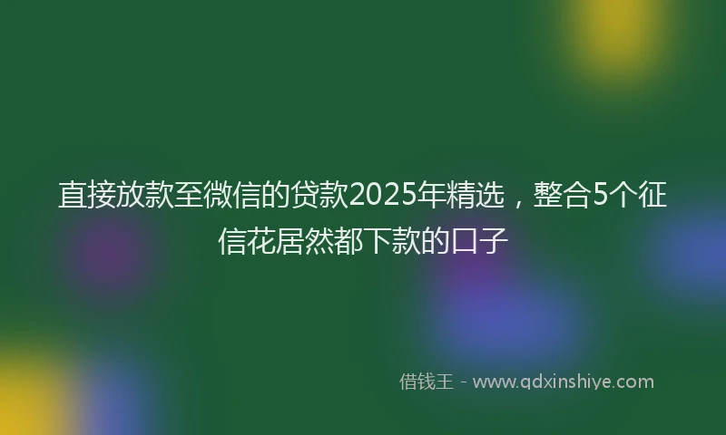 直接放款至微信的贷款2025年精选，整合5个征信花居然都下款的口子