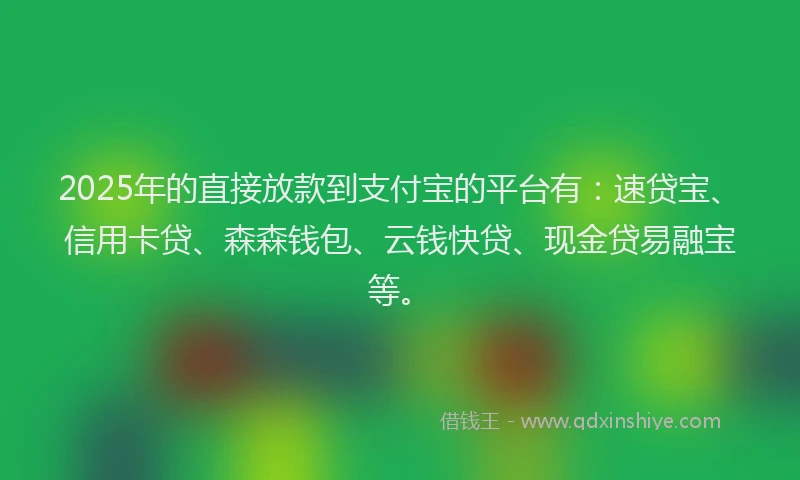 2025年的直接放款到支付宝的平台有：速贷宝、信用卡贷、森森钱包、云钱快贷、现金贷易融宝等。