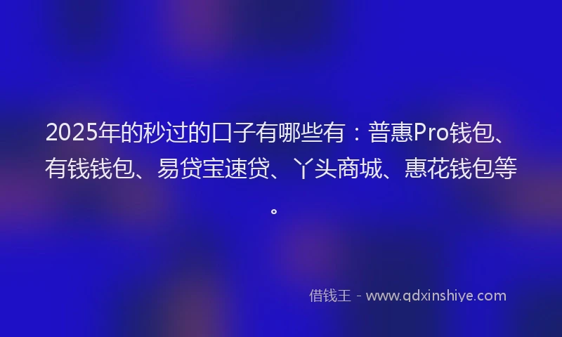 2025年的秒过的口子有哪些有：普惠Pro钱包、有钱钱包、易贷宝速贷、丫头商城、惠花钱包等。