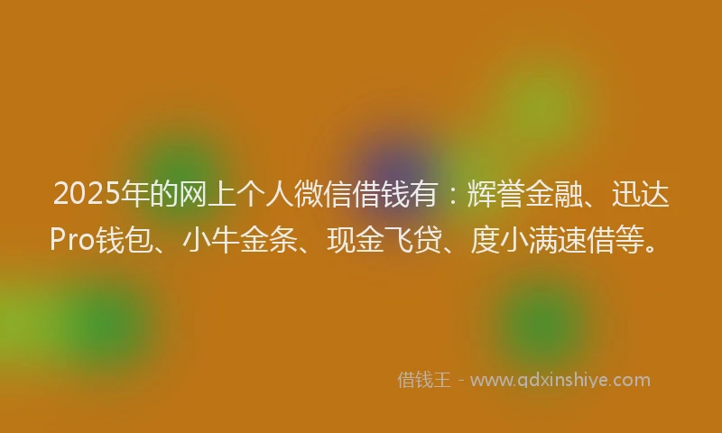 2025年的网上个人微信借钱有：辉誉金融、迅达Pro钱包、小牛金条、现金飞贷、度小满速借等。