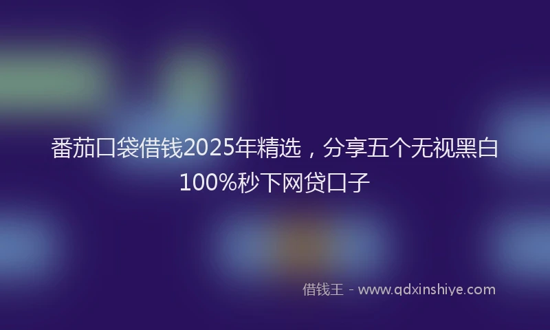 番茄口袋借钱2025年精选，分享五个无视黑白100%秒下网贷口子