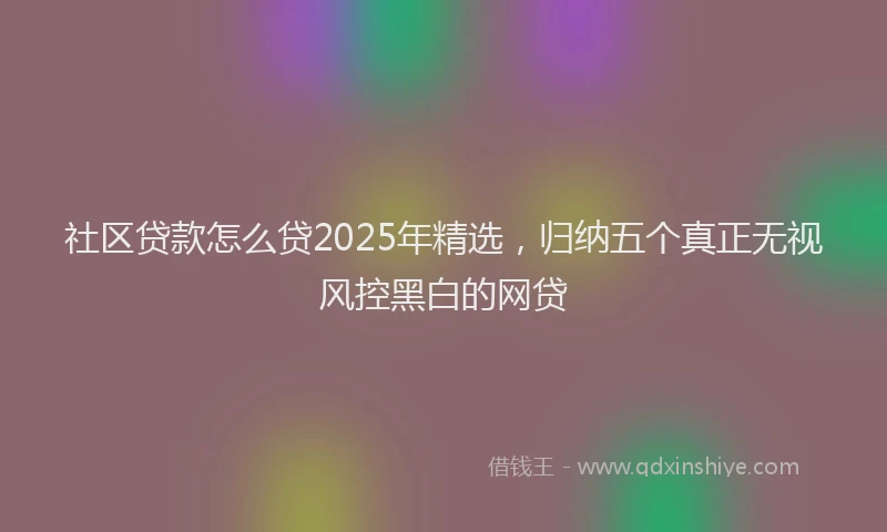 社区贷款怎么贷2025年精选，归纳五个真正无视风控黑白的网贷