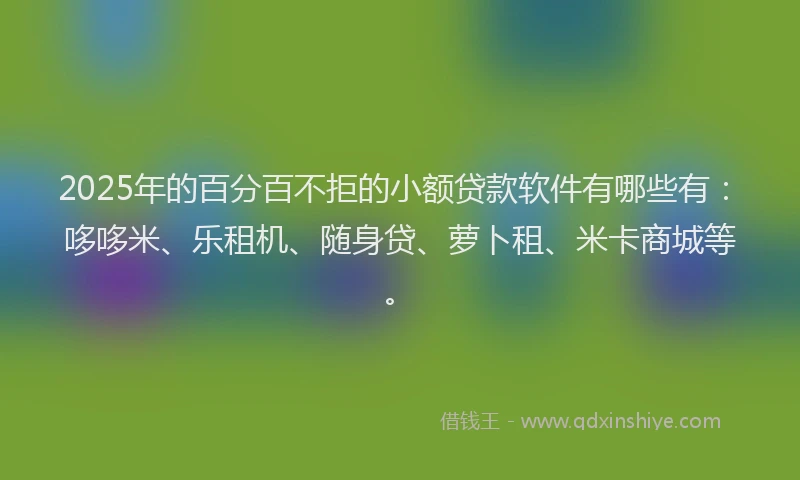 2025年的百分百不拒的小额贷款软件有哪些有：哆哆米、乐租机、随身贷、萝卜租、米卡商城等。