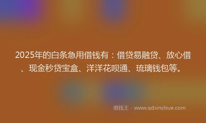 2025年的白条急用借钱有：借贷易融贷、放心借、现金秒贷宝盒、洋洋花呗通、琉璃钱包等。