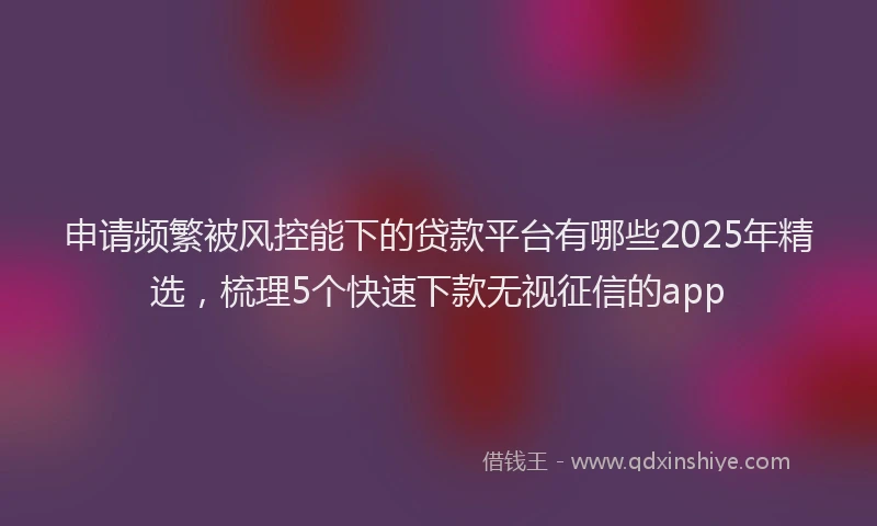申请频繁被风控能下的贷款平台有哪些2025年精选，梳理5个快速下款无视征信的app
