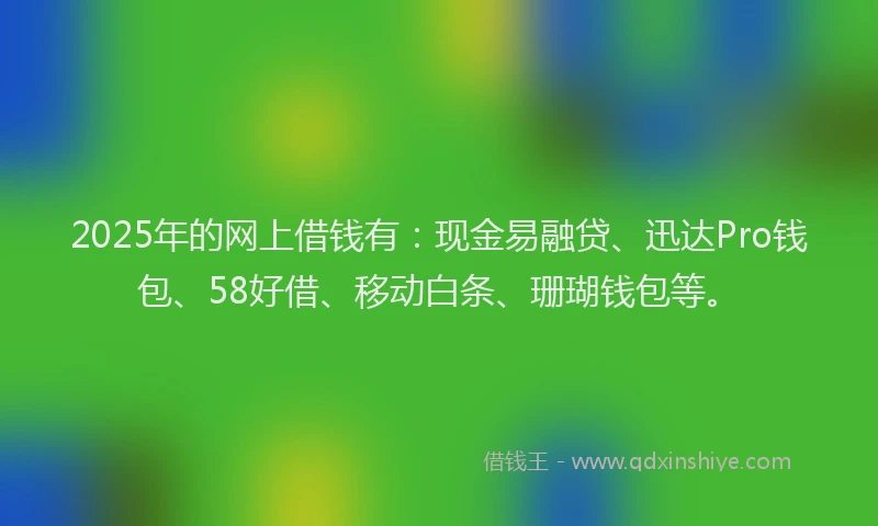 2025年的网上借钱有：现金易融贷、迅达Pro钱包、58好借、移动白条、珊瑚钱包等。