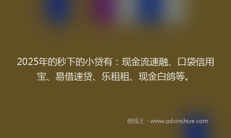 2025年的秒下的小贷有：现金流速融、口袋信用宝、易借速贷、乐租租、现金白鸽等。
