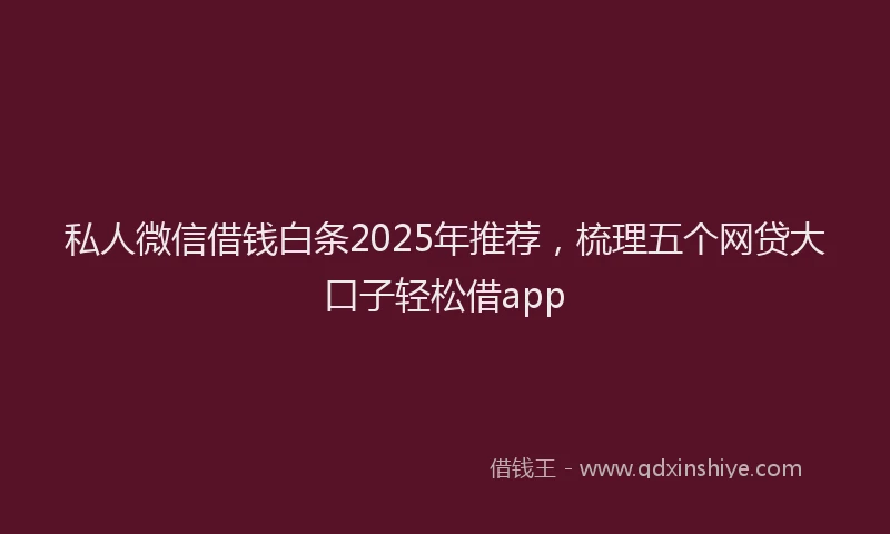 私人微信借钱白条2025年推荐，梳理五个网贷大口子轻松借app