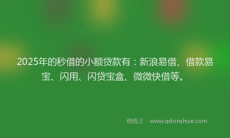 2025年的秒借的小额贷款有：新浪易借、借款易宝、闪用、闪贷宝盒、微微快借等。