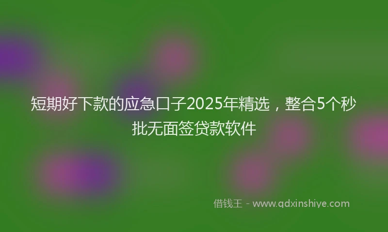 短期好下款的应急口子2025年精选，整合5个秒批无面签贷款软件