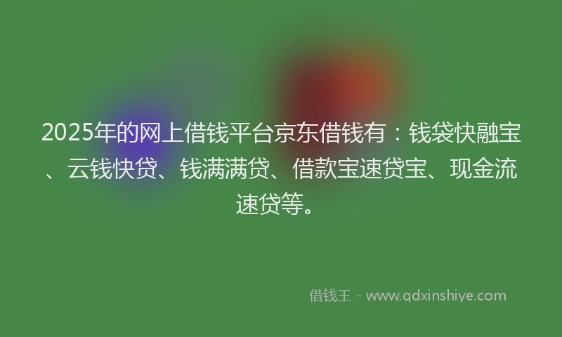 2025年的网上借钱平台京东借钱有：钱袋快融宝、云钱快贷、钱满满贷、借款宝速贷宝、现金流速贷等。