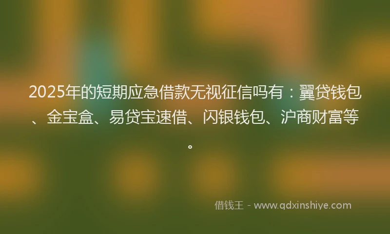 2025年的短期应急借款无视征信吗有：翼贷钱包、金宝盒、易贷宝速借、闪银钱包、沪商财富等。