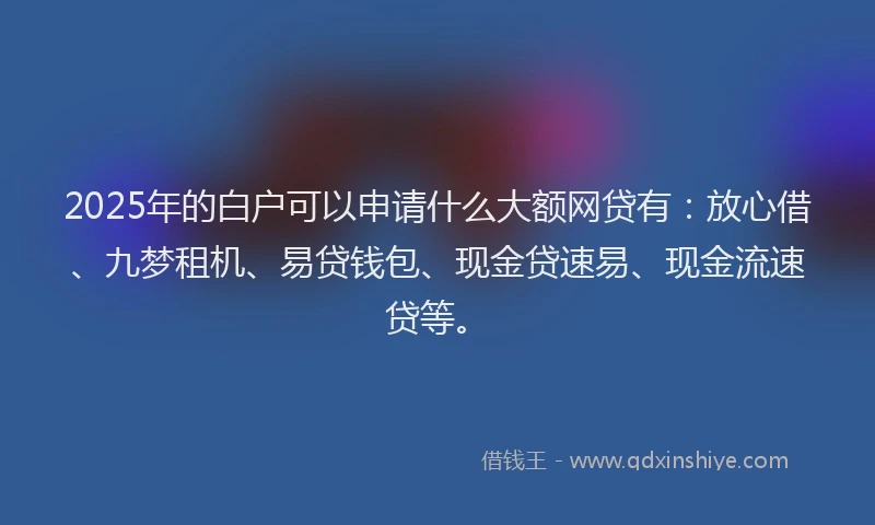 2025年的白户可以申请什么大额网贷有：放心借、九梦租机、易贷钱包、现金贷速易、现金流速贷等。