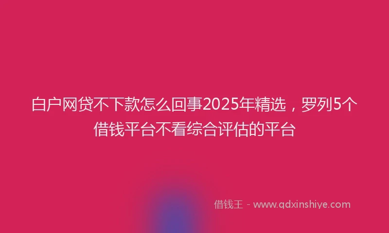 白户网贷不下款怎么回事2025年精选，罗列5个借钱平台不看综合评估的平台