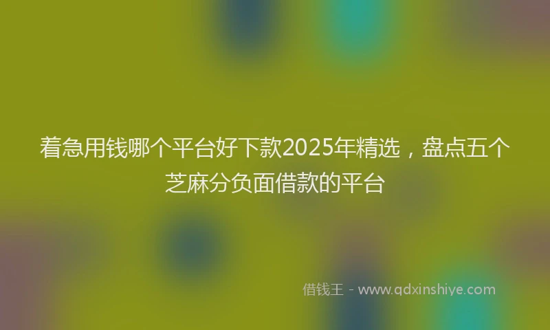 着急用钱哪个平台好下款2025年精选，盘点五个芝麻分负面借款的平台