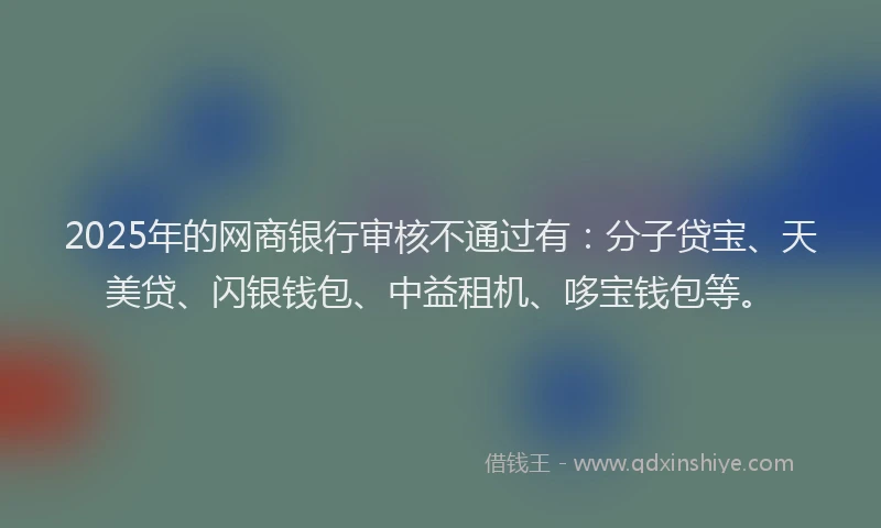 2025年的网商银行审核不通过有：分子贷宝、天美贷、闪银钱包、中益租机、哆宝钱包等。