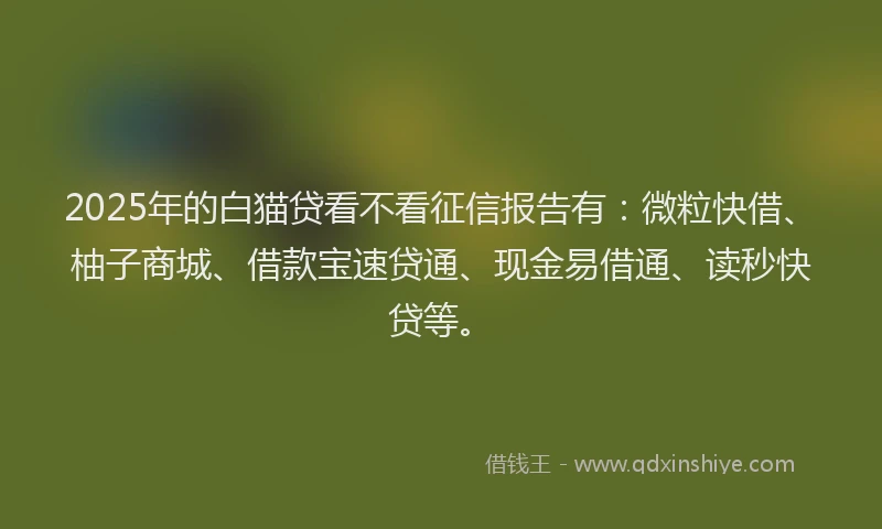 2025年的白猫贷看不看征信报告有：微粒快借、柚子商城、借款宝速贷通、现金易借通、读秒快贷等。