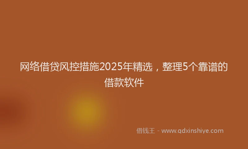 网络借贷风控措施2025年精选，整理5个靠谱的借款软件