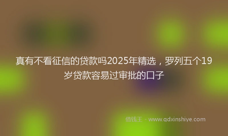 真有不看征信的贷款吗2025年精选，罗列五个19岁贷款容易过审批的口子