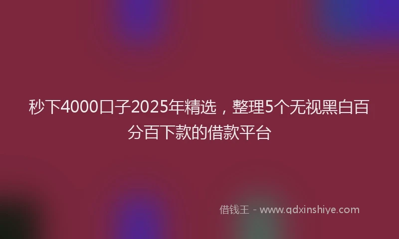 秒下4000口子2025年精选，整理5个无视黑白百分百下款的借款平台