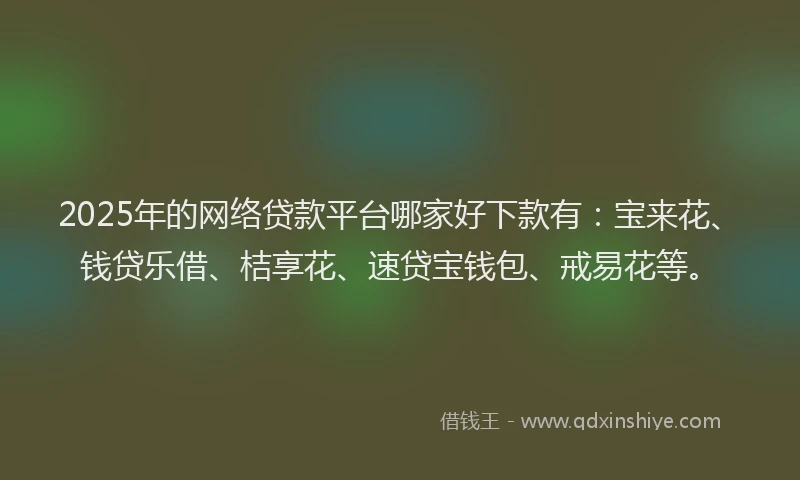 2025年的网络贷款平台哪家好下款有：宝来花、钱贷乐借、桔享花、速贷宝钱包、戒易花等。