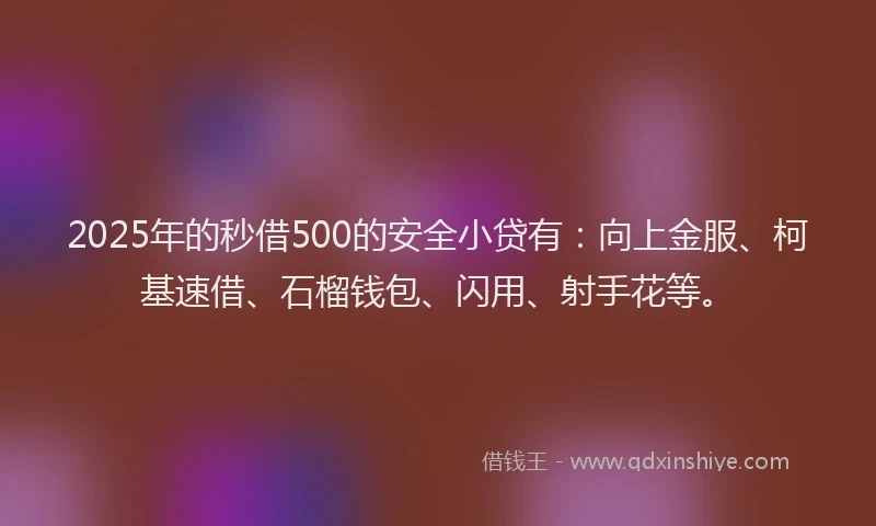 2025年的秒借500的安全小贷有：向上金服、柯基速借、石榴钱包、闪用、射手花等。