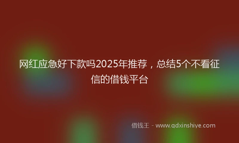 网红应急好下款吗2025年推荐，总结5个不看征信的借钱平台