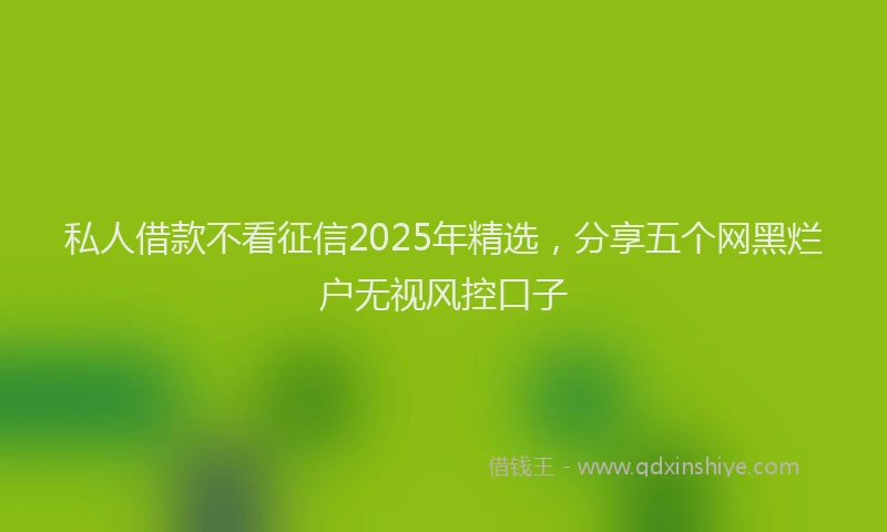 私人借款不看征信2025年精选，分享五个网黑烂户无视风控口子