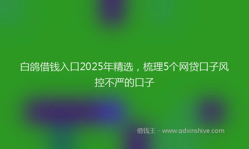 白鸽借钱入口2025年精选，梳理5个网贷口子风控不严的口子