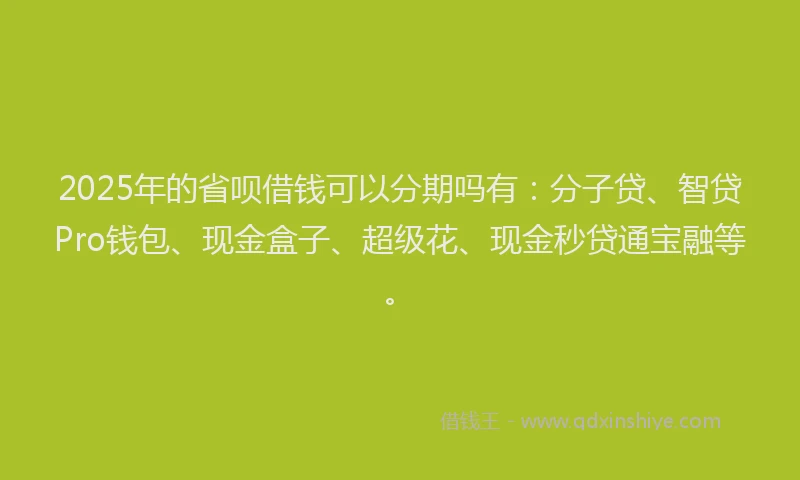 2025年的省呗借钱可以分期吗有：分子贷、智贷Pro钱包、现金盒子、超级花、现金秒贷通宝融等。