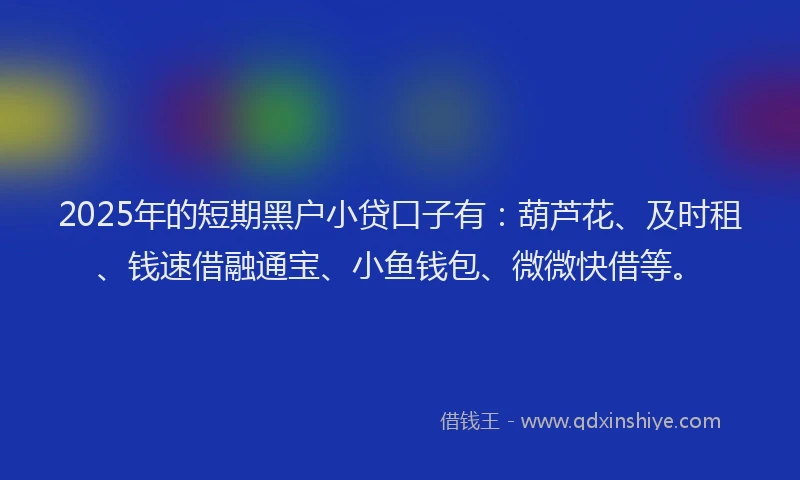 2025年的短期黑户小贷口子有：葫芦花、及时租、钱速借融通宝、小鱼钱包、微微快借等。