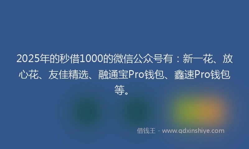2025年的秒借1000的微信公众号有：新一花、放心花、友佳精选、融通宝Pro钱包、鑫速Pro钱包等。