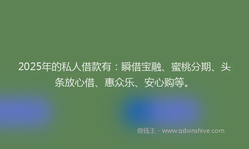 2025年的私人借款有：瞬借宝融、蜜桃分期、头条放心借、惠众乐、安心购等。