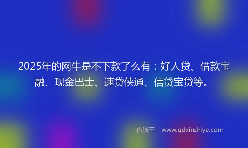 2025年的网牛是不下款了么有：好人贷、借款宝融、现金巴士、速贷侠通、信贷宝贷等。