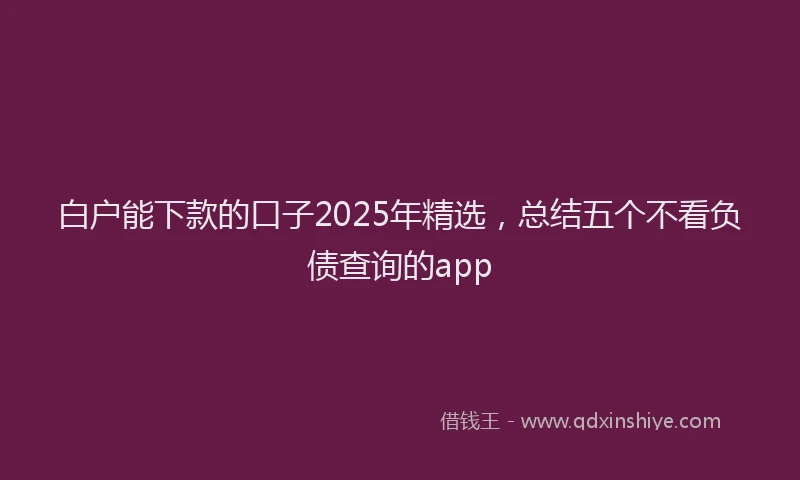 白户能下款的口子2025年精选，总结五个不看负债查询的app