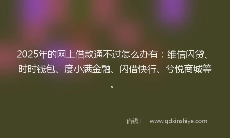 2025年的网上借款通不过怎么办有：维信闪贷、时时钱包、度小满金融、闪借快行、兮悦商城等。