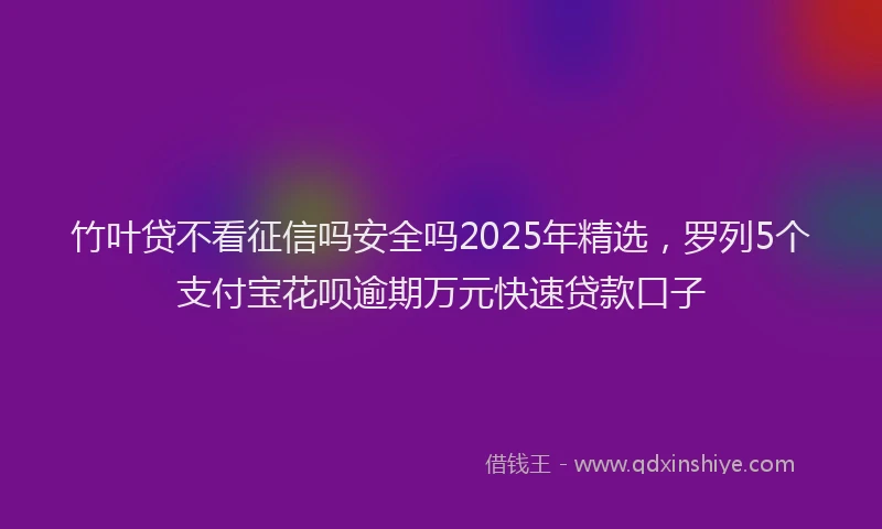 竹叶贷不看征信吗安全吗2025年精选，罗列5个支付宝花呗逾期万元快速贷款口子