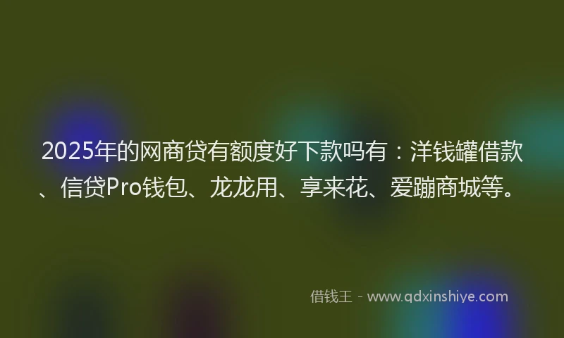 2025年的网商贷有额度好下款吗有：洋钱罐借款、信贷Pro钱包、龙龙用、享来花、爱蹦商城等。