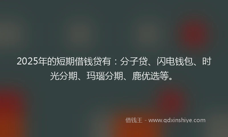 2025年的短期借钱贷有：分子贷、闪电钱包、时光分期、玛瑙分期、鹿优选等。