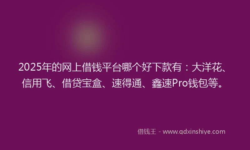 2025年的网上借钱平台哪个好下款有：大洋花、信用飞、借贷宝盒、速得通、鑫速Pro钱包等。