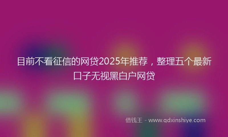 目前不看征信的网贷2025年推荐，整理五个最新口子无视黑白户网贷