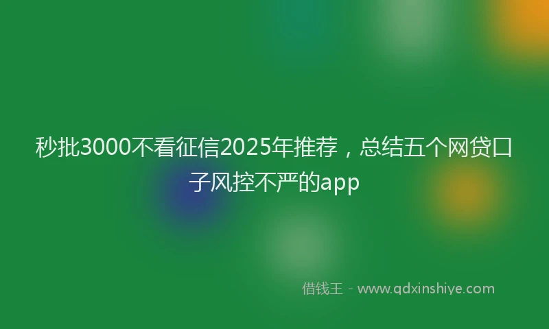秒批3000不看征信2025年推荐，总结五个网贷口子风控不严的app