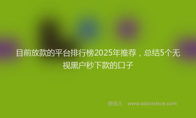 目前放款的平台排行榜2025年推荐，总结5个无视黑户秒下款的口子