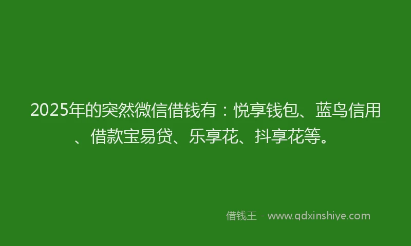2025年的突然微信借钱有：悦享钱包、蓝鸟信用、借款宝易贷、乐享花、抖享花等。